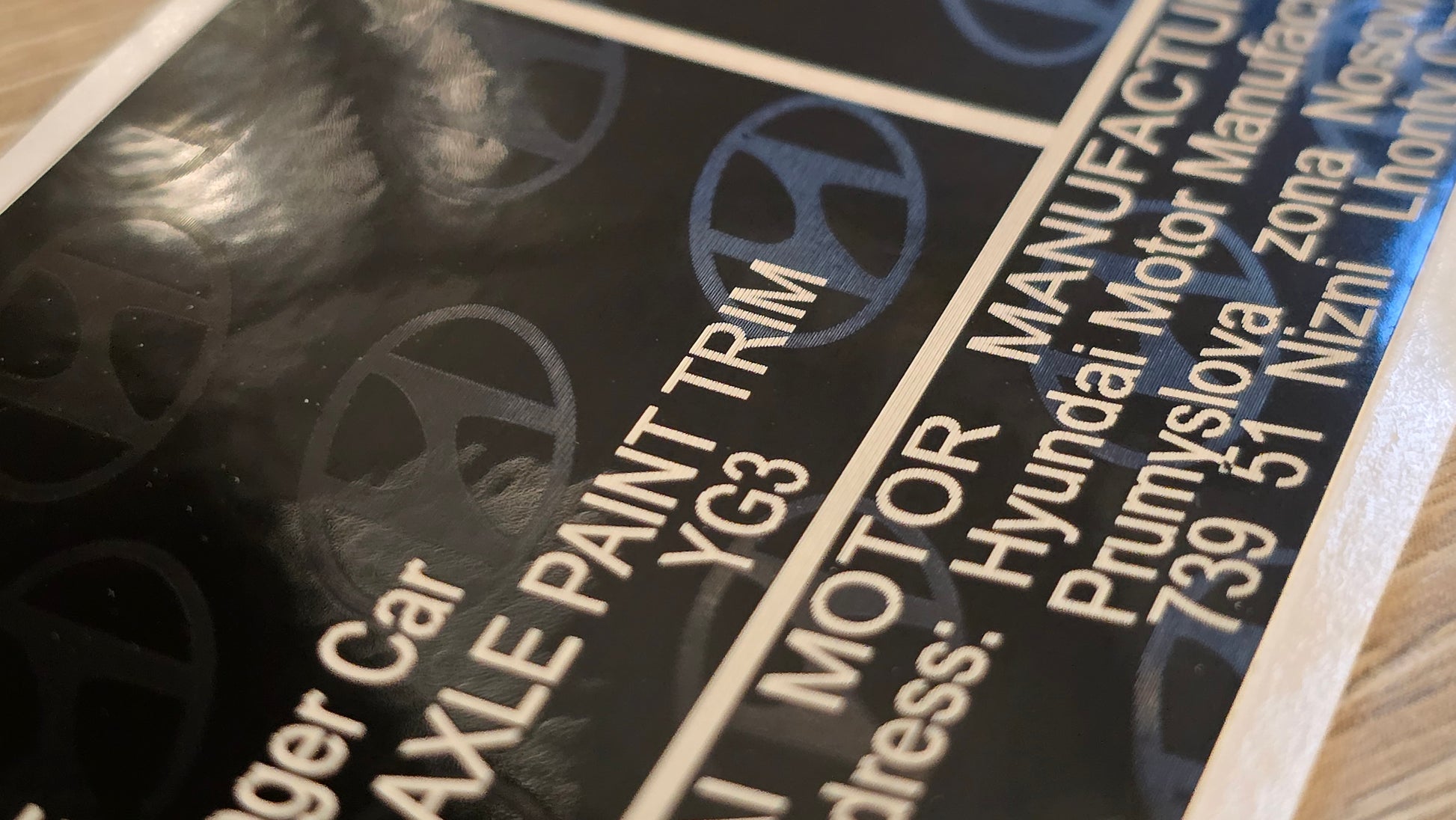 Hyundai Ioniq VIN label replacement UK close-up showing paint trim and motor manufacturer details by VINSHIELD UK